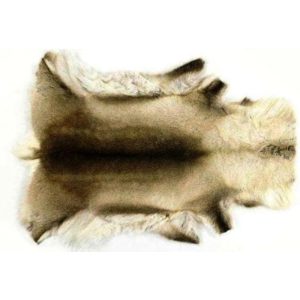 Porontalja I-laatu, medium, 115cm