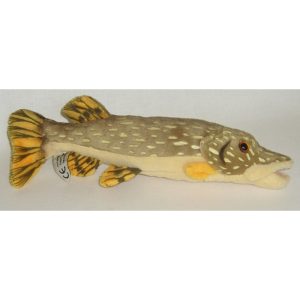 Pike, 25cm, small