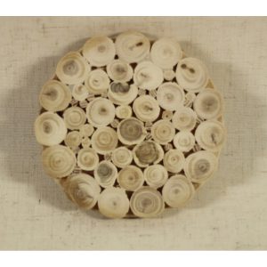 Kataja-alunen, 8,5cm