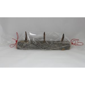 Naulakko, 30cm, 3 poronsarvikoukkua, kelo