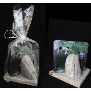 Lasinaluset, kelotelineessä