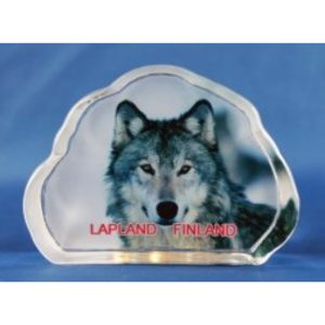 Lasikoriste, husky kuva, 9x7cm